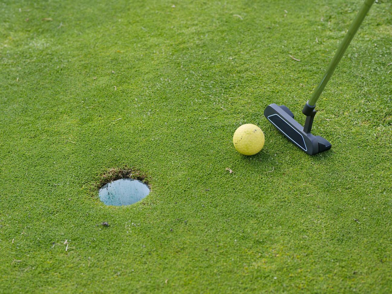 Golf Tips for Beginners gofers