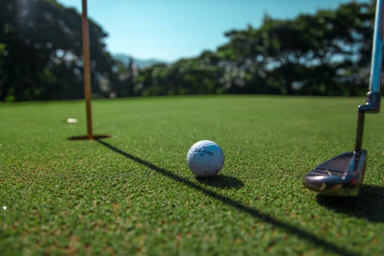 Best Putters for Beginners in golf